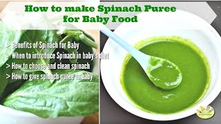 How to make spinach puree for baby Benefits of Spinach for Baby 9 month [upl. by Akineg765]