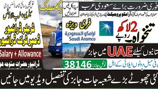 Aramco project jobs in saudi arabia💯Pipeline jobs 👌TRANSGUARD jobs in dubai 🔥driving jobs for 2024 [upl. by Nonnelg198]