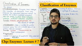 Classification of enzymes  6 types of enzymes [upl. by Chretien286]