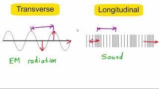 Transverse vs longitudinal waves [upl. by Haida]