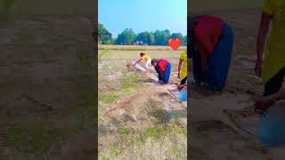 Tere har saval ka javab bhojpuri shortvideo song viralshort [upl. by Lytsirhc412]