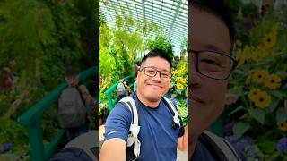 Impressions of Monet  Gardens By The Bay Singapore [upl. by Anam]