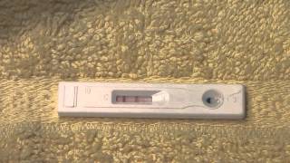 Live Pregnancy Test  POSITIVE from a dollar store99 Cents store brand [upl. by Ondrea]