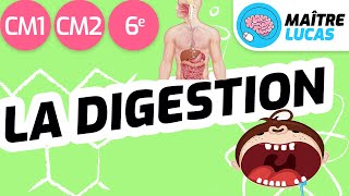 La digestion CM1  CM2  6ème  cycle 3  Sciences et technologie [upl. by Crompton]