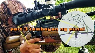 tambayan ng punai part 3 naka dami parin nb video hunting farming [upl. by Llenrep757]