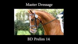 Master Dressage talks Prelim 14 dressage training [upl. by Courcy]