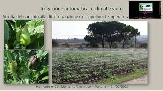 Luigi Ledda  Agronomia per ladattamento ai Cambiamenti Climatici dei sistemi culturali [upl. by Aisa128]