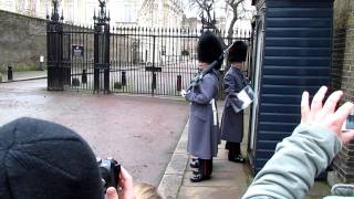 Cambio della Guardia Reale inglese in un ingesso secondario a buckingham palace [upl. by Talmud]