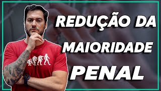 Você é a favor ou contra a redução da maioridade penal [upl. by Navetse]