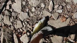 DAY of the DEAD bass fishing November 1 2024 [upl. by Nickelsen845]