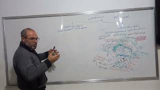 osteogenesis تكوين العظام [upl. by Etnaihc]