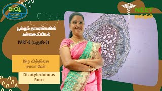 Anatomy of Flowering Plants  Part 8  Dicotyledonous Roots  NEET Tamil  NEET Biology [upl. by Alicirp]