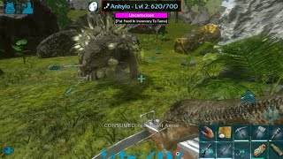 TAMING A ANKYLOSAURUS S1E12 Ark Survival Evolved Mobile [upl. by Anyalram]