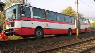 The Tap Tap  Řiditel autobusu [upl. by Ob]