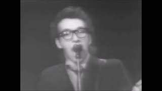 ELVIS COSTELLO Live at Capitol Theatre Party Girl [upl. by Lorrie]