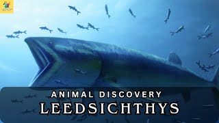 Leedsichthys Illuminating the Ancient Underwater World [upl. by Ignacius390]