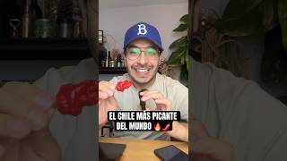 Este es EL CHILE MÁS PICANTE DEL MUNDO 🌶️  Carolina Reaper [upl. by Ydieh]