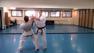 Okinawan Karate  interview with Itzik Cohen Sensei [upl. by Ramahs]