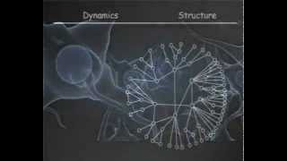 Engineering mesoscale structures with distinct dynamical implications [upl. by Kari287]