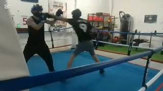 in 3 round light Sparring Boxing Lion Boxing Club 4102024 [upl. by Nahshunn]