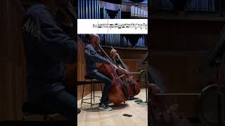 Beethoven Symphony No 3 – Double Bass Moment [upl. by Annayk]