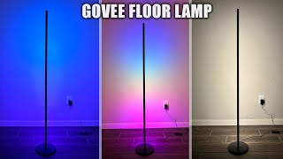 Full Review of Govee RGBIC Floor Lamp [upl. by Beth]