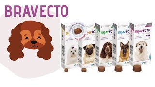 Bravecto  Longest Lasting  Recommended by vets and pets [upl. by Seko]