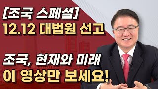 서울구치소가 기다린다 조국에 대한 모든 것 이 영상 하나로 종결합니다ㅣ서정욱TV [upl. by Yznel]