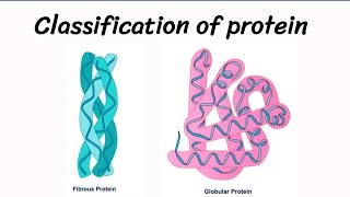 Classification of protein  Fibrous Protein  Globular Protein [upl. by Flavia]