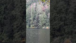 Squamish lake Canada BC [upl. by Miguela250]