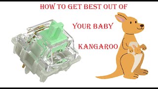 Gateron Baby KAngaroos sound test on a Top mount Mechanical Keyboard [upl. by Fugere]