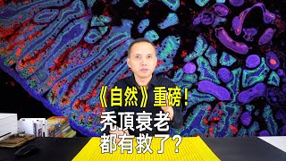 《自然》重磅！英國發佈人類細胞圖譜，禿頭衰老都有救了？ [upl. by Ynoep]