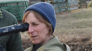 Kelly Reichardt ‘My films are about people who don’t have a safety net’ [upl. by Atinnek]