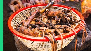 Bizarre Indonesian Jungle Food Welcome to EXTREME Indonesian Cooking in North Sulawesi [upl. by Hafeetal977]