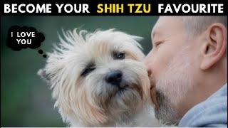 How Shih tzu Choose Their Favorite Person  Finally Secrets Revealed [upl. by Gomar909]