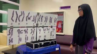 Portable Cytogenetics Karyotyping Learning Kit and teaching AidC [upl. by Czarra20]