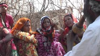 RAJASTHANI FOLKMUSIC  KALBELIYA SONG  BABALIYO [upl. by Diane-Marie]