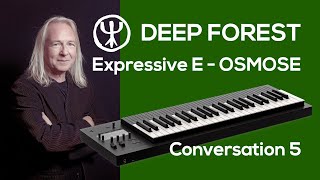 Expressive E Osmose  Conversation 5  Yesterday  Deep Forest [upl. by Bee]