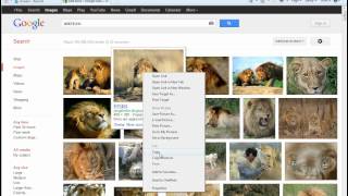 How to Copy and Paste Pictures from Google [upl. by Einafpets]