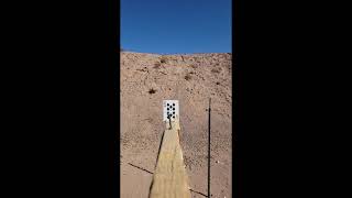 FX Maverick Splitting cards at 100 yards with JSB Jumbo Monster Pellets [upl. by Anaj]