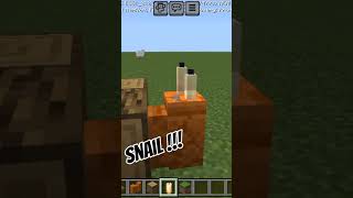 Minecraft snailprogamer45 [upl. by Ttayw]