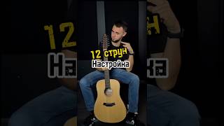 Как настроить 12 струнную гитару без нервов [upl. by Ettevi158]