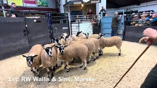 Leyburn Mule Gimmer Lamb Sale 2023 Highlights [upl. by Ativahs]