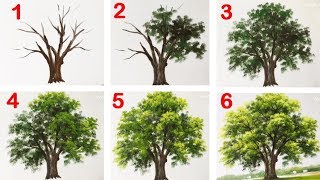 How to Paint a Tree with Acrylic lesson 13 [upl. by Abel]