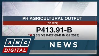 PH agricultural output for Q2 2024 down by 33  ANC [upl. by Nehepts]