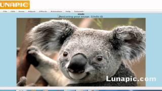 new lunapiccom video tutorial [upl. by Ylimme824]