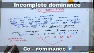 Co  dominance and Incomplete dominance in hindi ll biology ll [upl. by Aisyle]