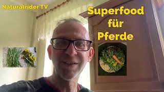 Superfood für Pferde Fütterung Fellwechsel An weiden Stoffwechsel lecker Futter Selbstgemischt [upl. by Jeff]