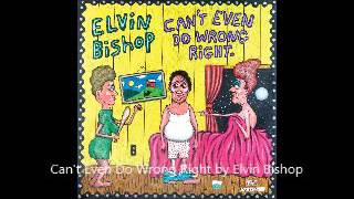 Hey Ba Ba Re Bop  Elvin Bishop [upl. by Vil741]