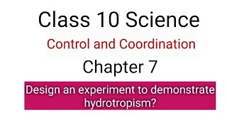 Design an experiment to demonstrate hydrotropism cbse education knowledge science [upl. by Anayad]